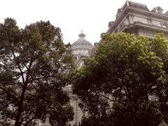 律師告訴你上海勞動糾紛范圍及解決方法