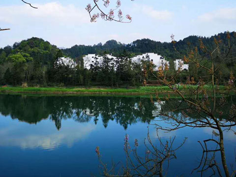 上海醫療律師