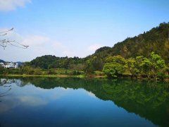 知名律師_上海房產屬問題22種情形