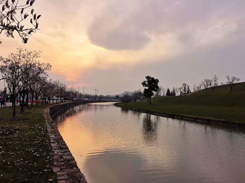 上海醫療律師