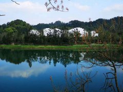 同居期間子女撫養_資產債務怎么劃分